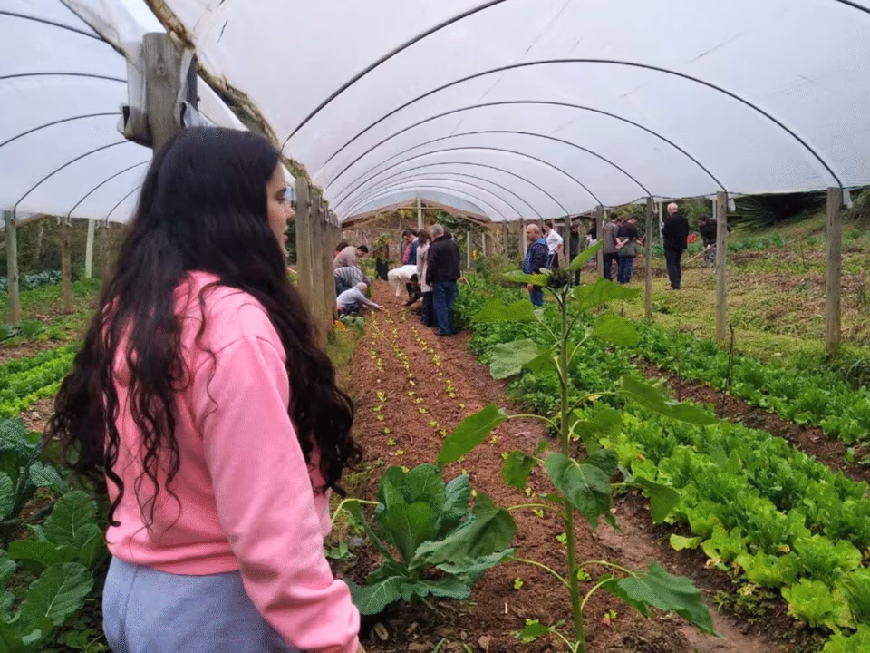 Oficina de Segurança Alimentar e Hortas Caseiras